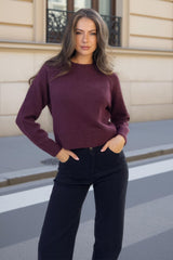 Burgundy Mock Neck Seam Detail Jumper