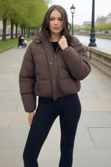 Chocolate Hooded Short Puffer Coat