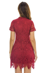 Wine High Neck Lace Dress