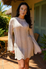 Biscuit Long Sleeve Crochet Mini Dress