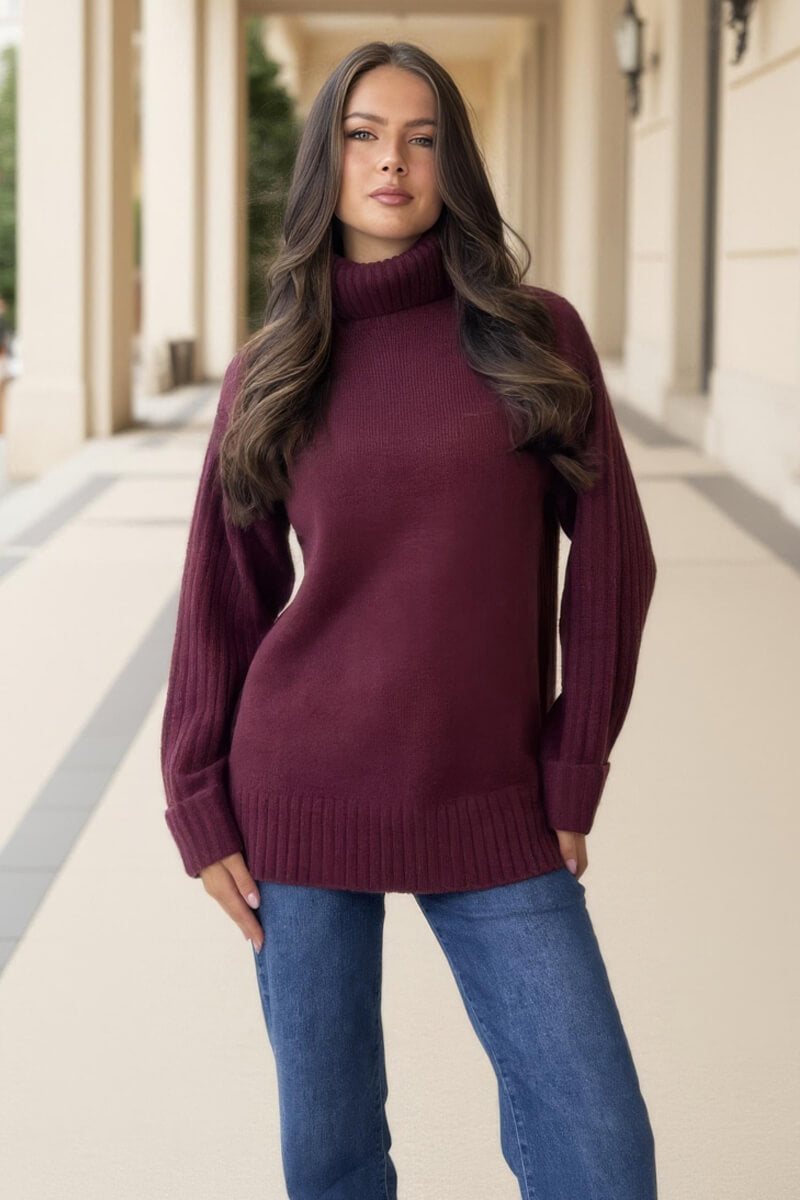 Burgundy Roll Neck Rib Detail Jumper