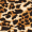 Leopard Print High Neck Bodycon Mini Dress