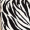 Black And White Zebra Print Wide Leg Trousers