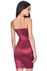 Plum Wrap Front Dress