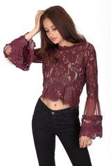 Plum Sheer Lace Long Sleeve Top